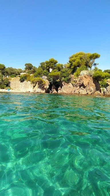 Blue Horizon Otel Saint-Raphaël Dış mekan fotoğraf